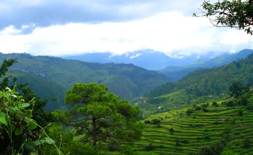 ranikhet nature